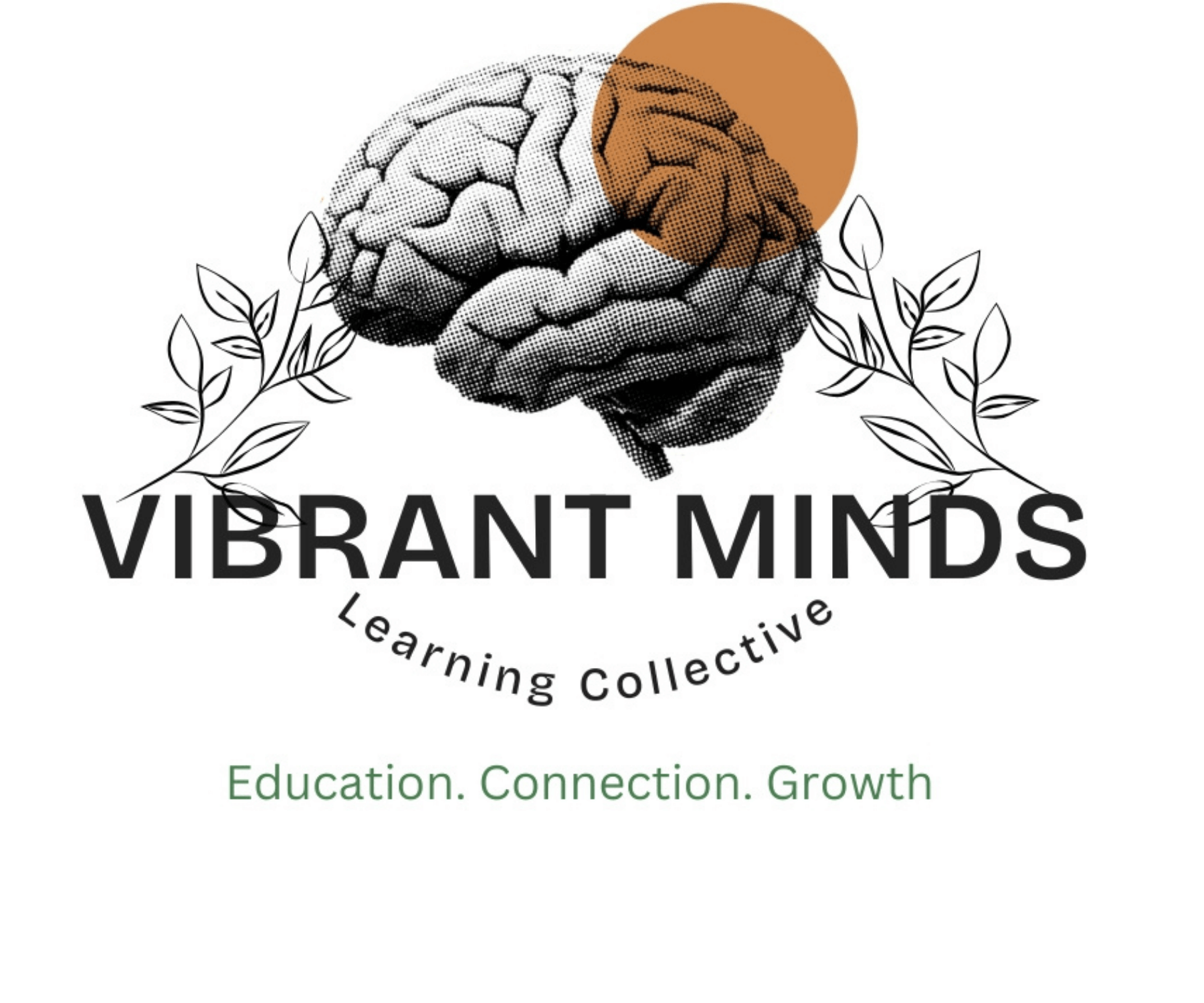Vibrant Minds Learning Collective