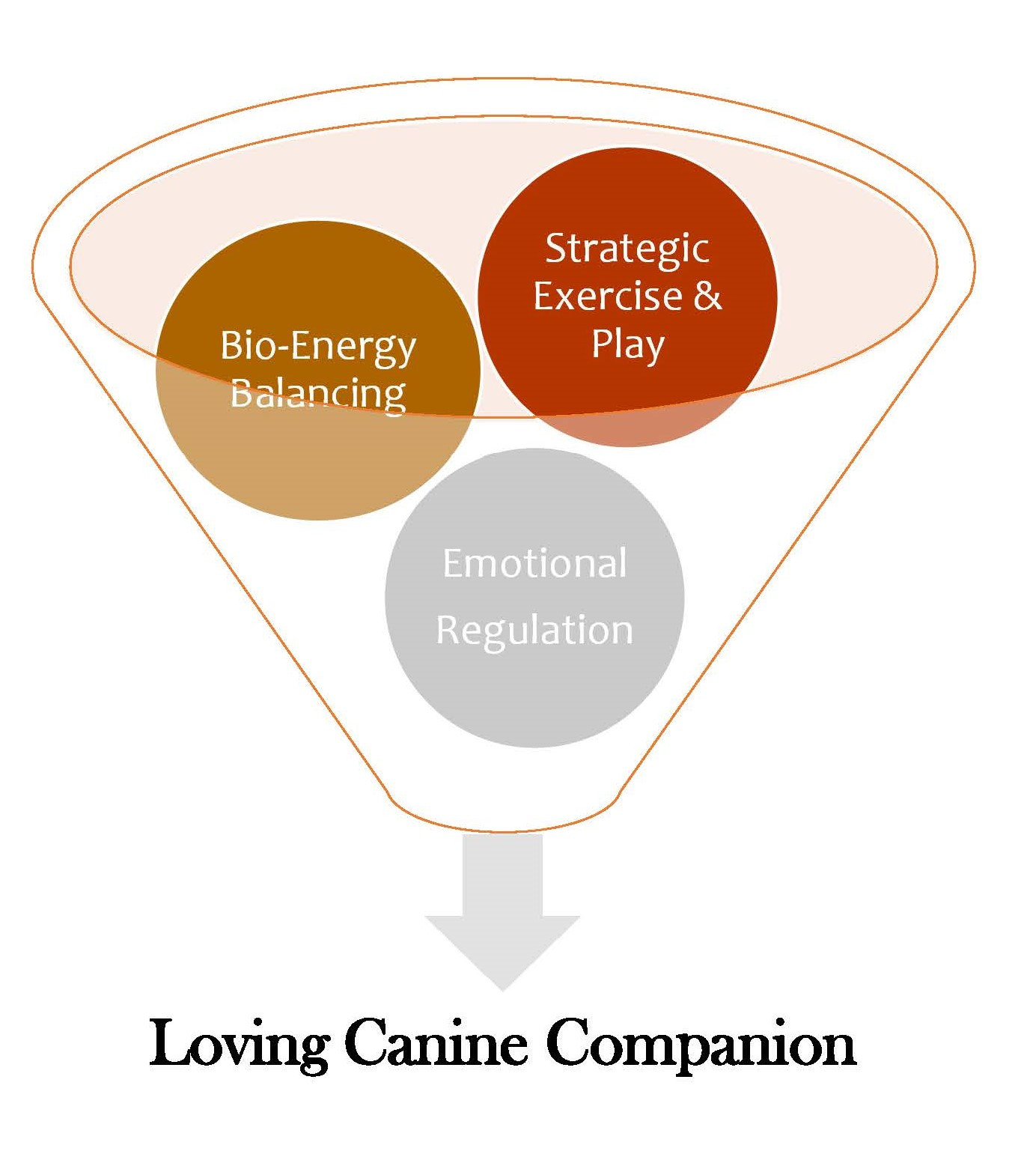 Master Dog Behavior and Training