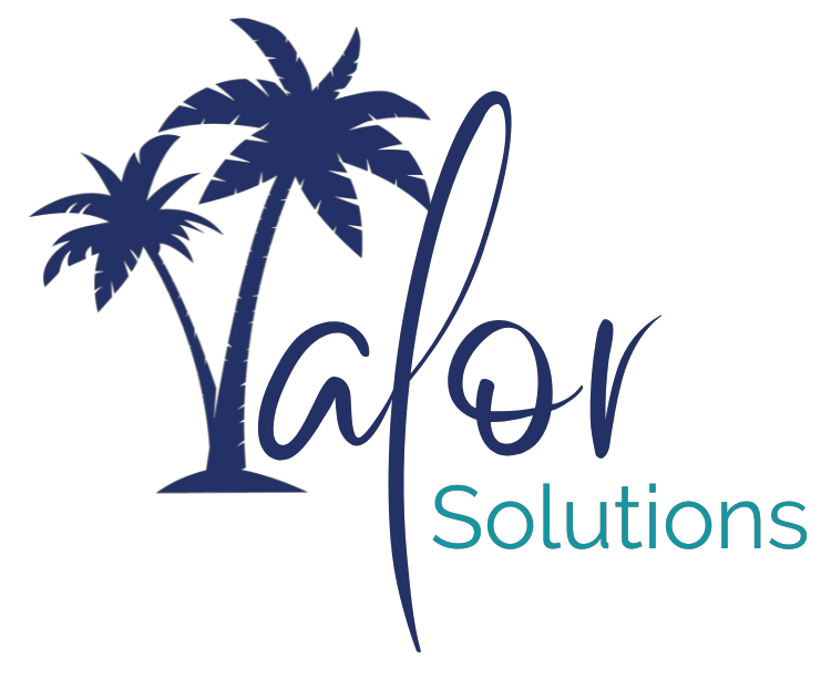 Valor  Solutions