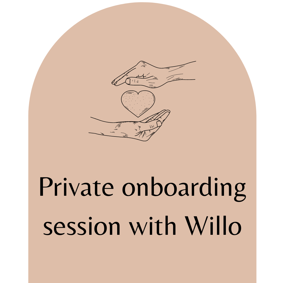 private onboarding session with life coach, Willo