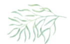 DAEtftyWKe8