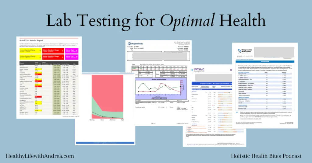 The Power of Functional Lab Testing by Functional Nutritionist Andrea Nicholson