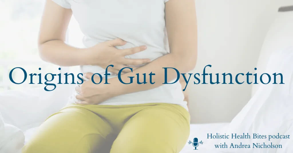 Gut Dysfunctions Outside of the Gut by Functional Nutritionist Andrea Nicholson