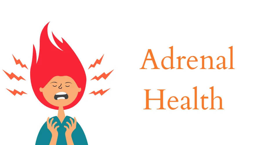 Adrenal Health by Functional Nutritionist Andrea Nicholson