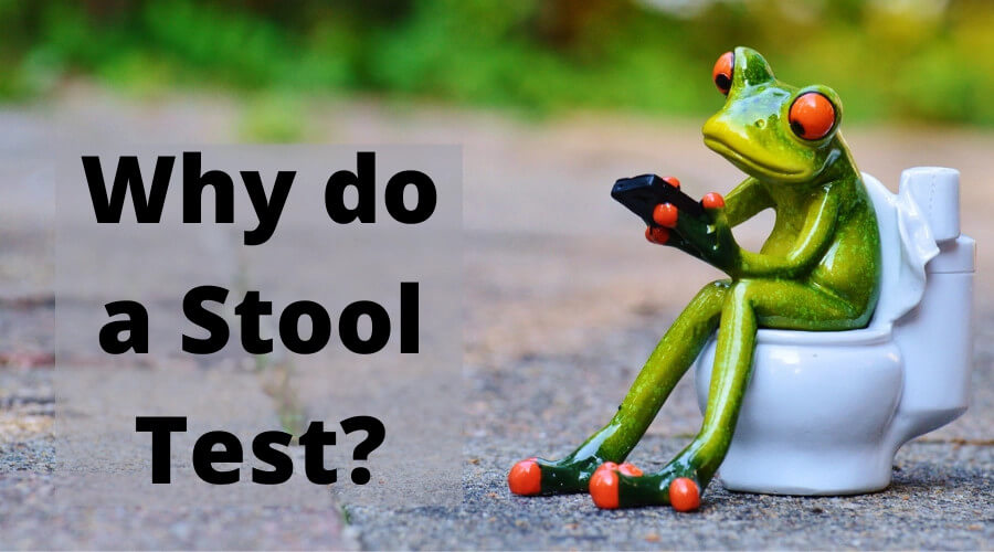 Why Do A Stool Test? by Functional Nutritionist Andrea Nicholson