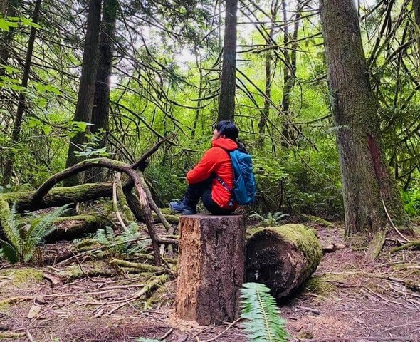  a woman sitting on a tree stump