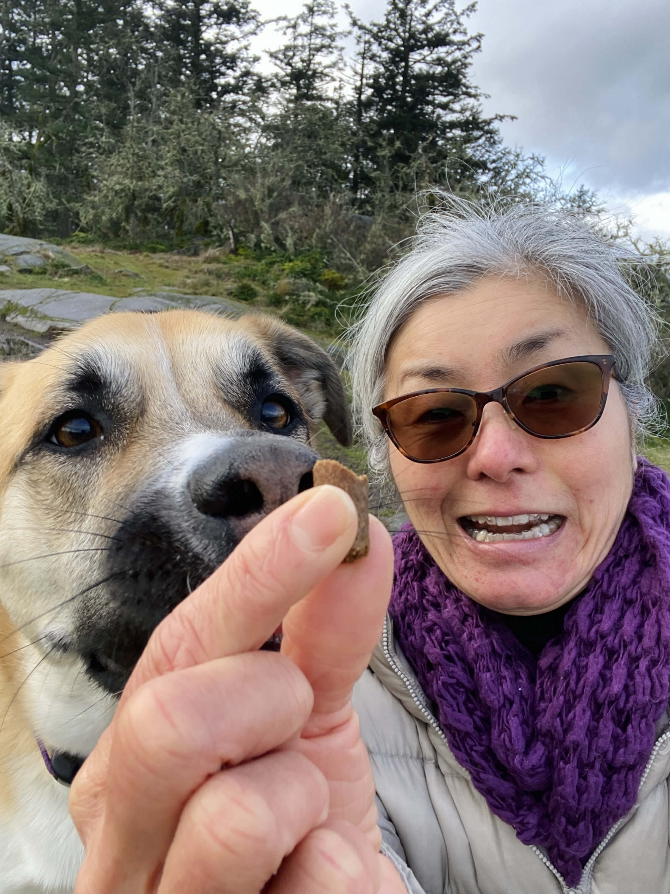  Dog is pausing for the picture to get a treat