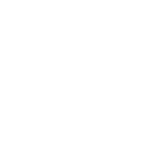 The Adkisson Group