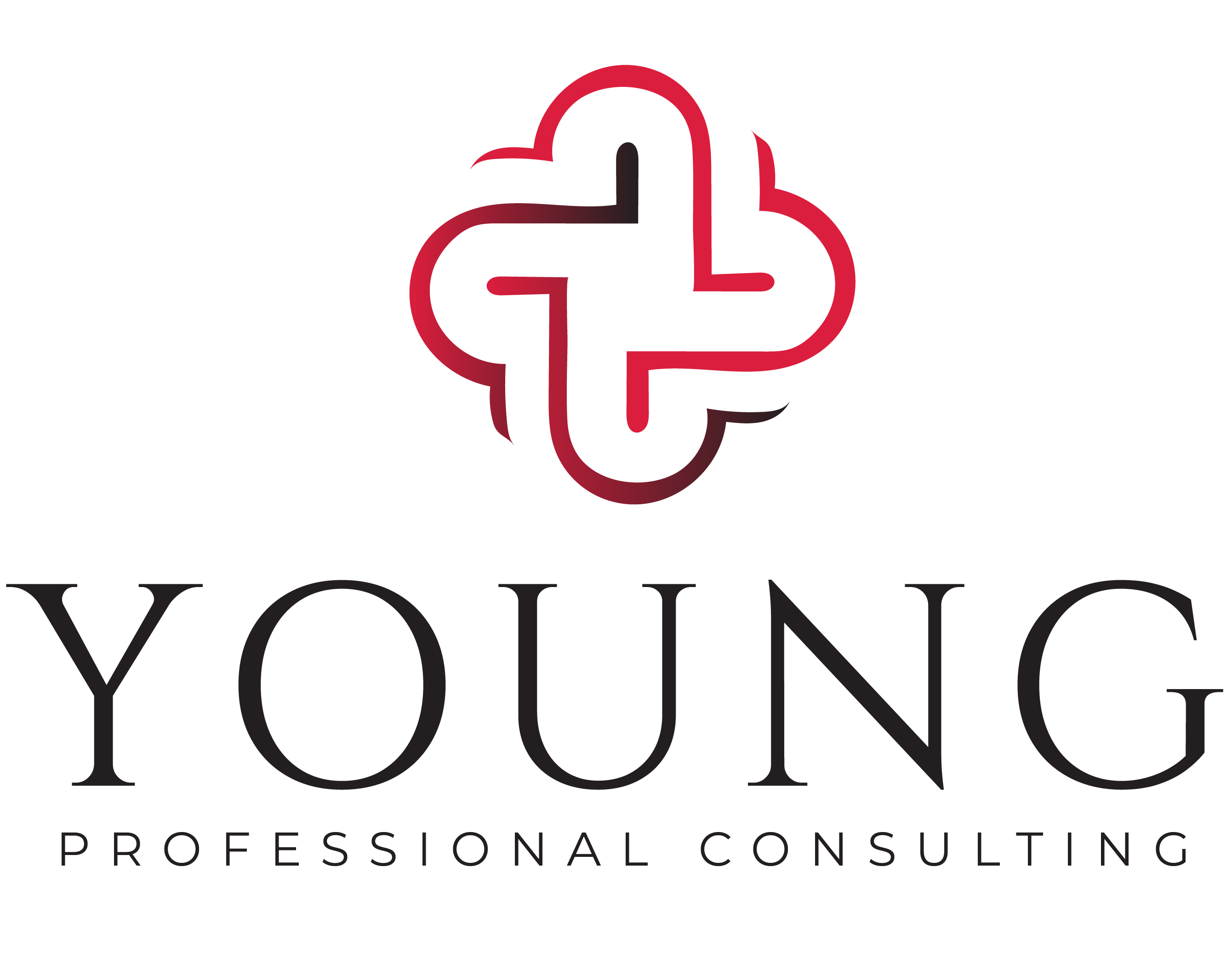 Young Professional Consulting