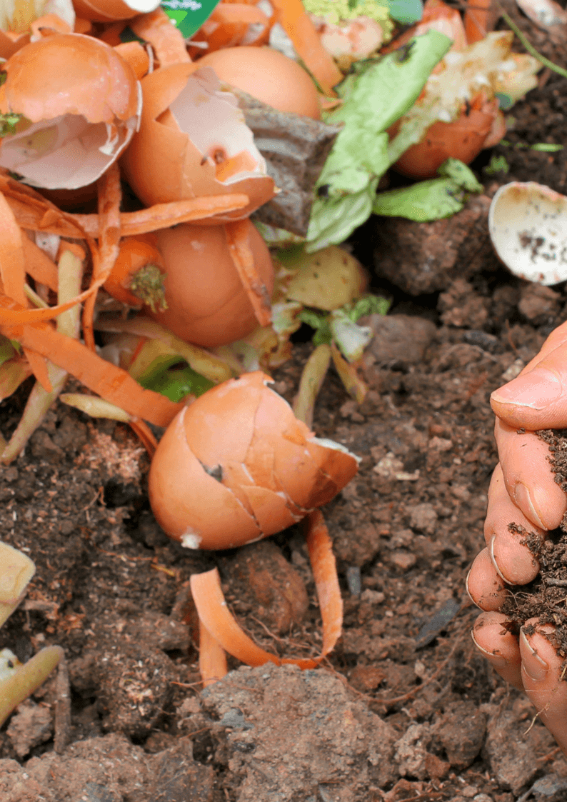 Composting System