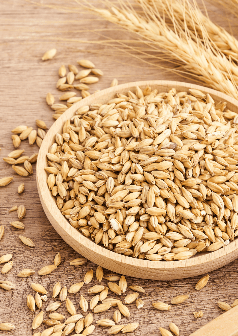 Soaking Grains in a Bowl