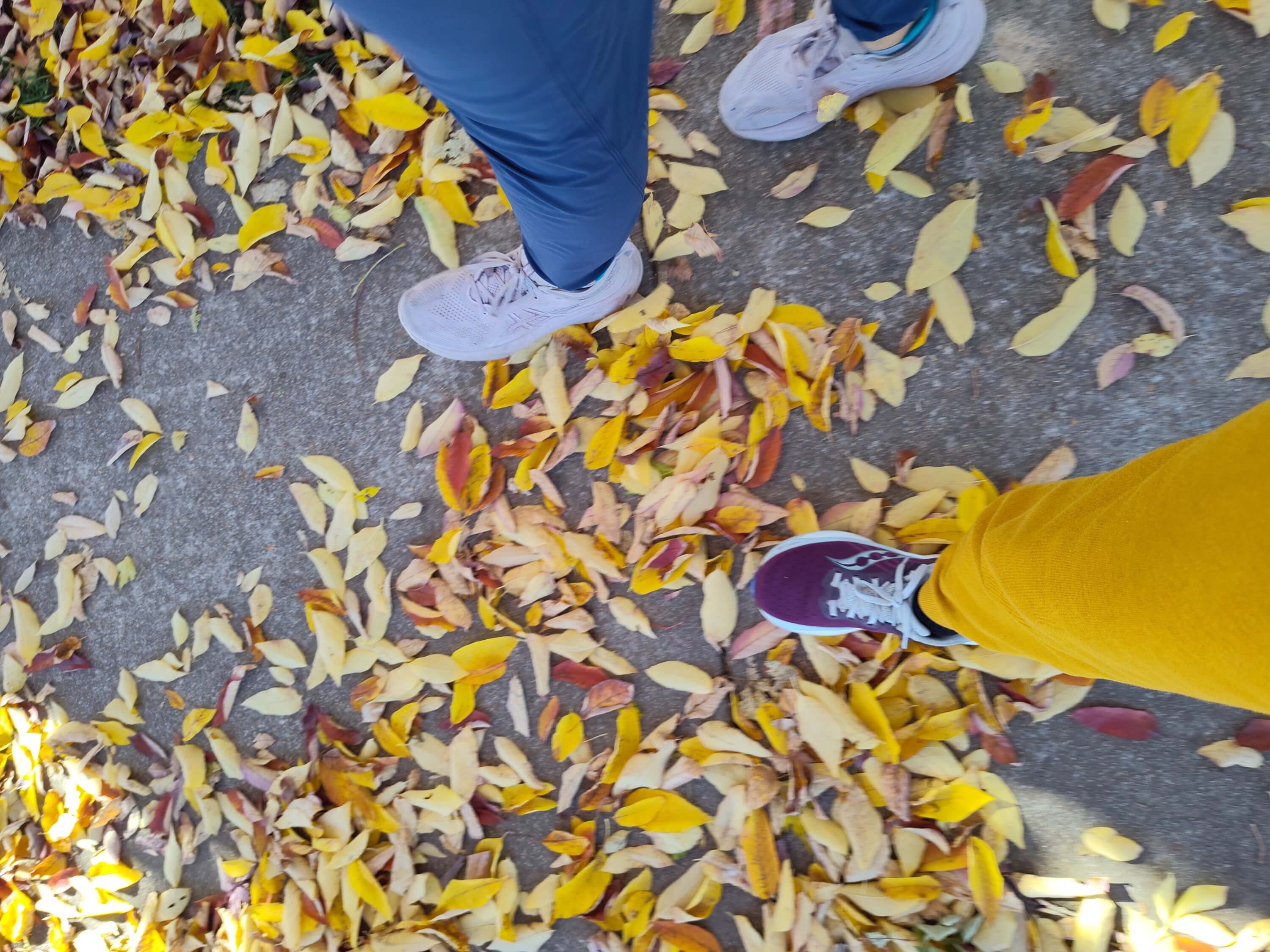 Walking in the leaves
