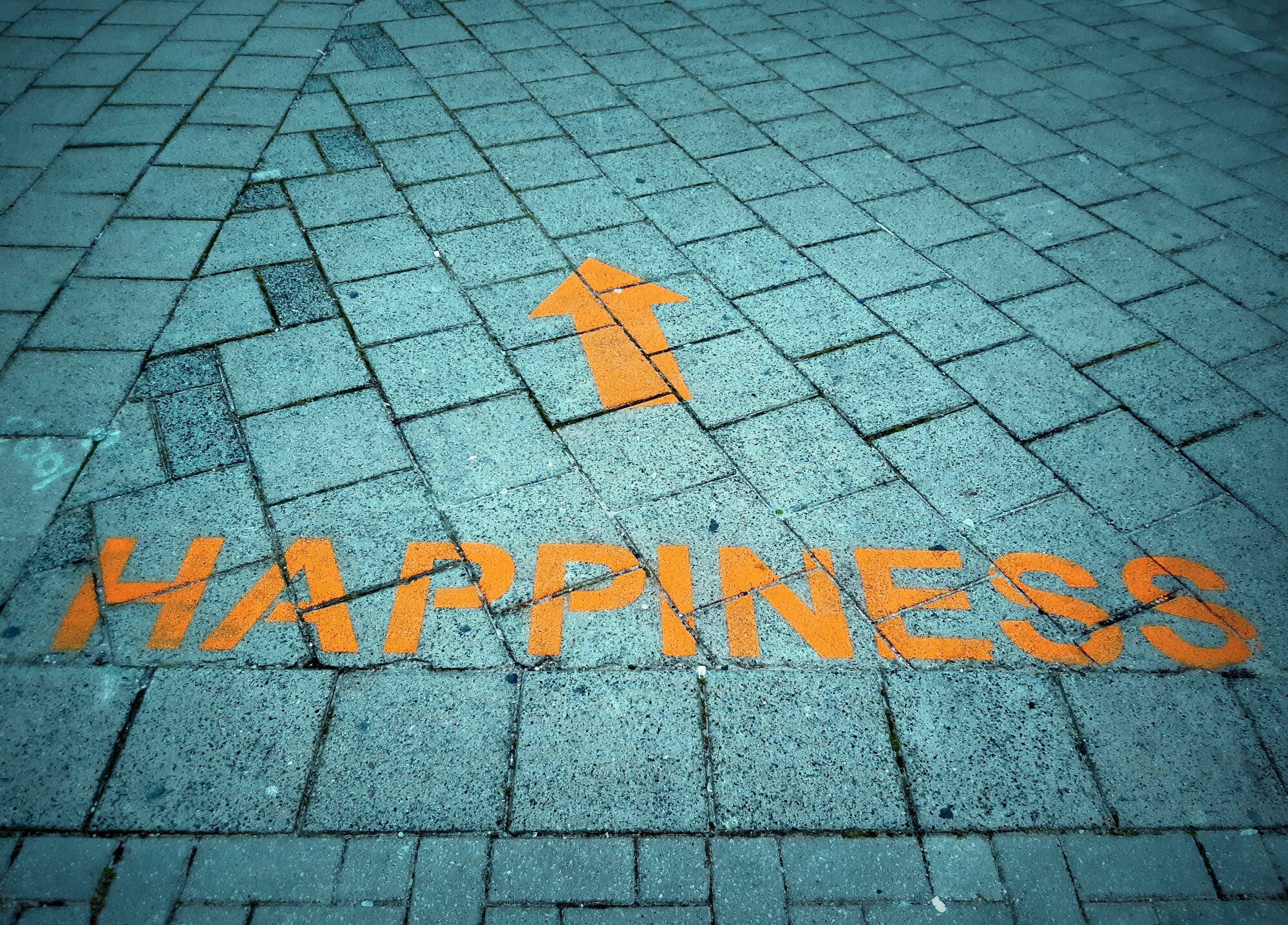 picture of sidewalk with the word "happiness" and an arrow pointing