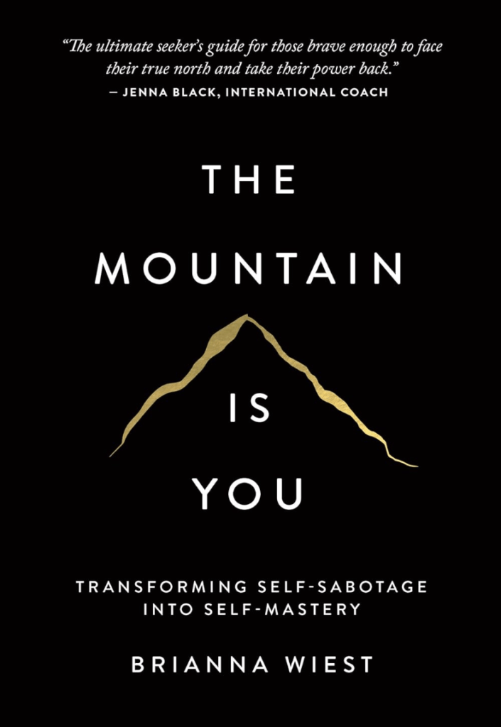 the mountain is you by brianna wiest