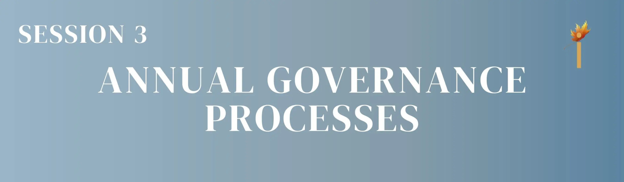 Annual Governance Processes