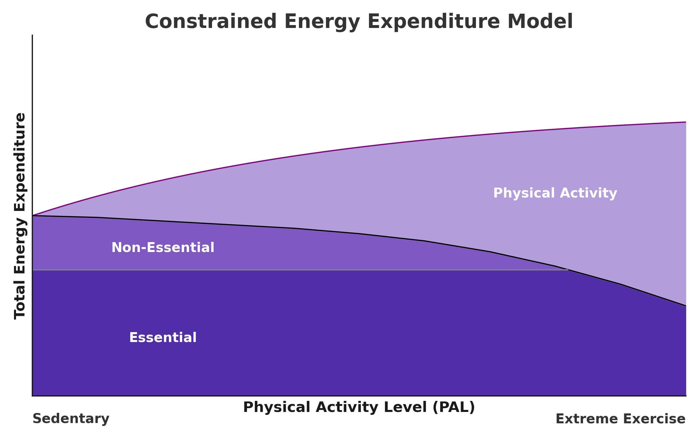 Graph illustrating the Constrained Energy Expenditure model, showing how total daily energy expenditure plateaus as physical activity increases due to compensations in essential and non-essential energy use.