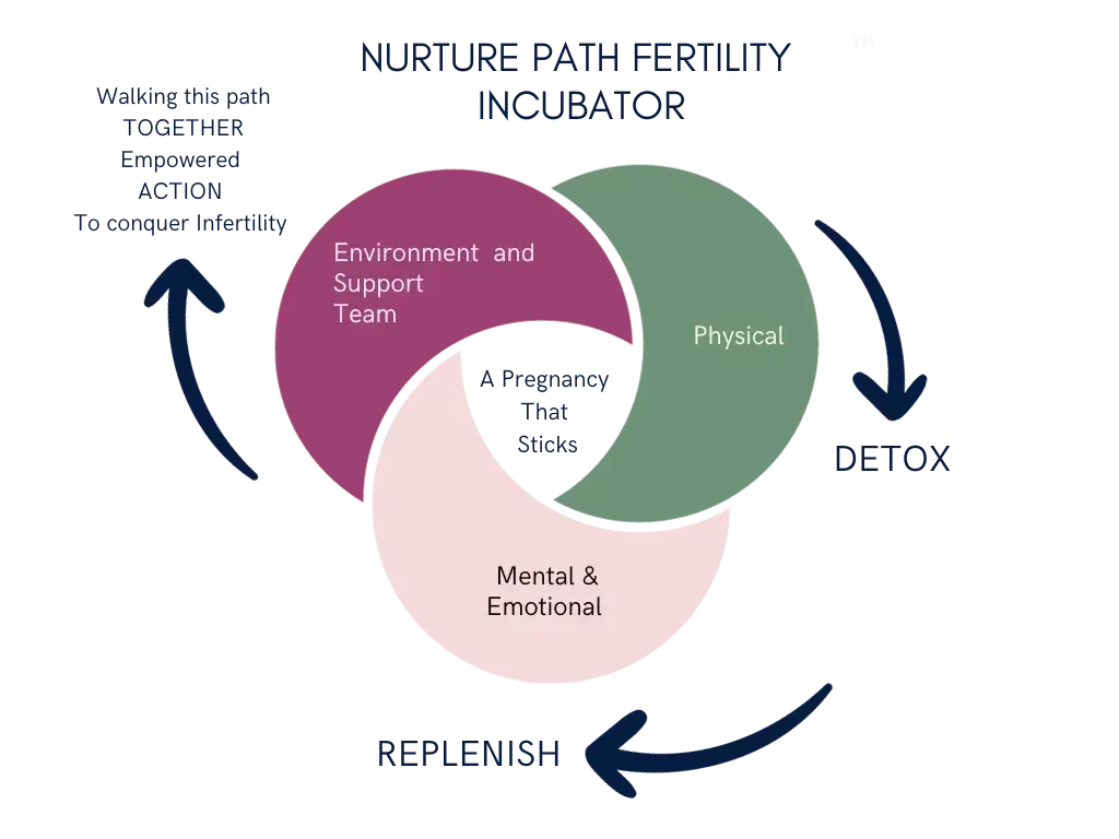  Infographic explaining causes of unexplained infertility and natural treatment options